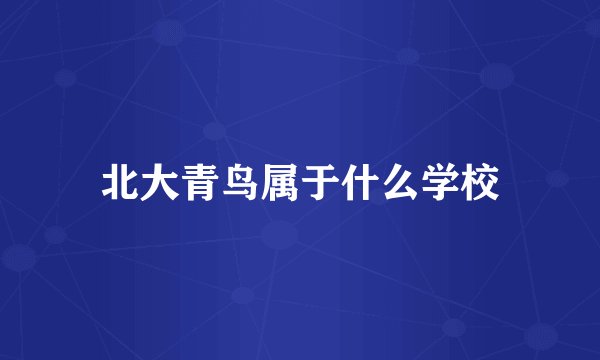 北大青鸟属于什么学校