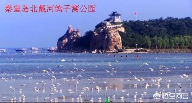 北戴河与秦皇岛是什么关系？