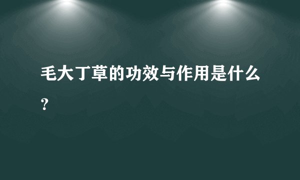 毛大丁草的功效与作用是什么？