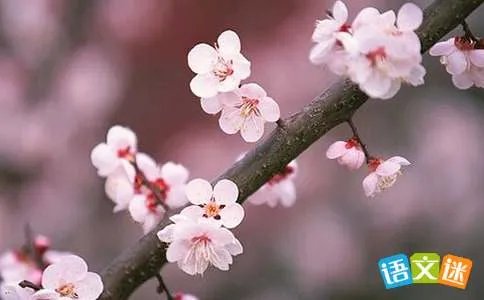 游桃花园记