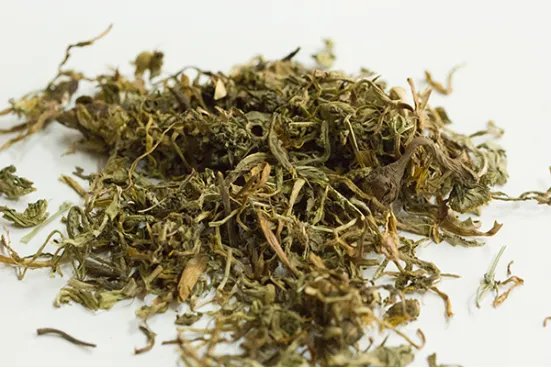 蒲公英茶的功效与作用是什么