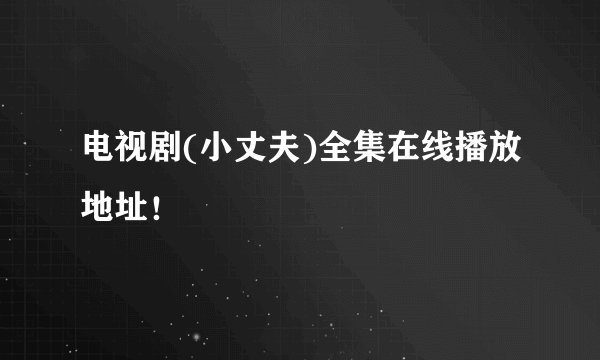 电视剧(小丈夫)全集在线播放地址！