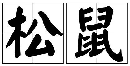 “松鼠”的拼音和声调分别是什么？