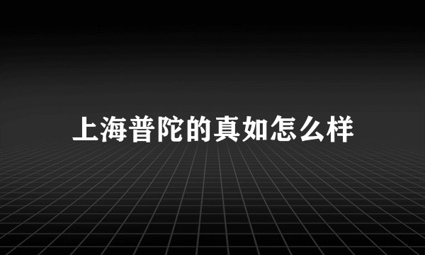 上海普陀的真如怎么样