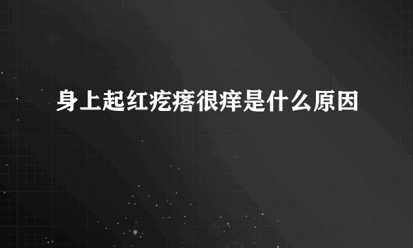 身上起红疙瘩很痒是什么原因