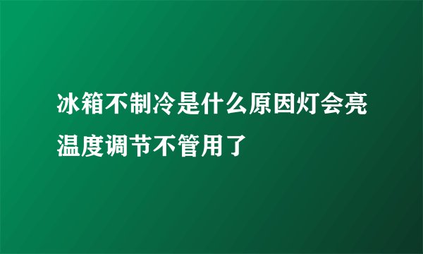 冰箱不制冷是什么原因灯会亮温度调节不管用了