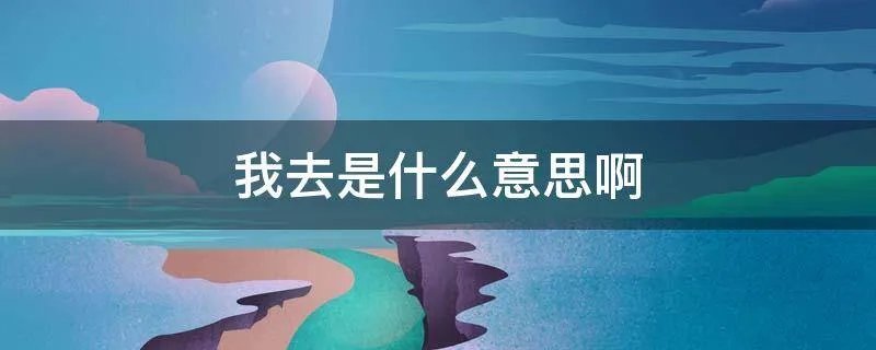 我去是什么意思啊