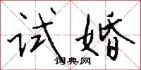 试婚