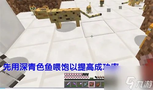 我的世界豹猫怎么驯服 我的世界豹猫驯服攻略