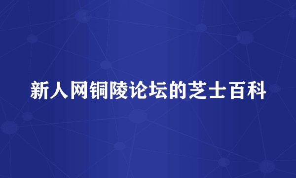 新人网铜陵论坛的芝士百科