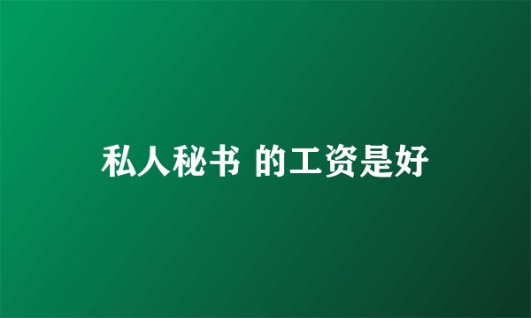 私人秘书 的工资是好