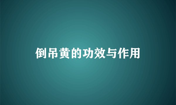 倒吊黄的功效与作用