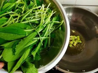 素炒小白菜