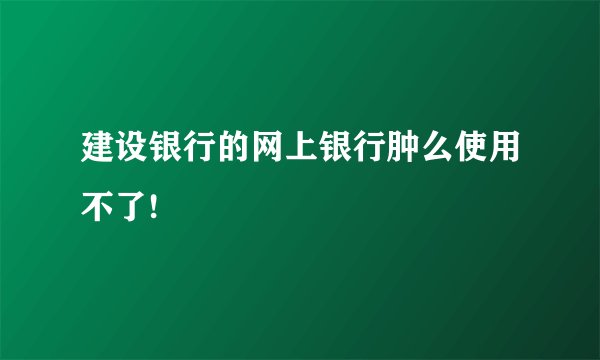 建设银行的网上银行肿么使用不了!