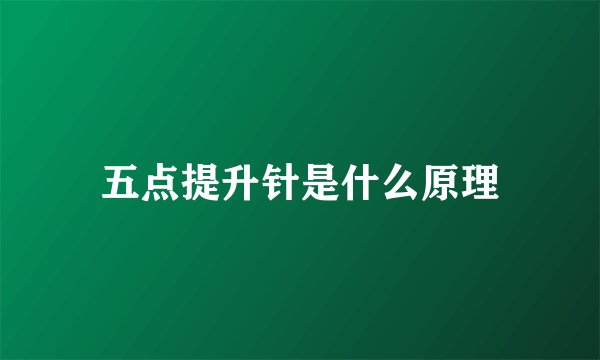 五点提升针是什么原理