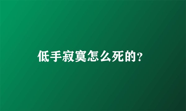 低手寂寞怎么死的？