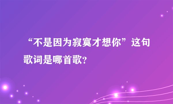 “不是因为寂寞才想你”这句歌词是哪首歌？