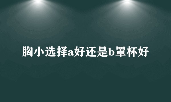 胸小选择a好还是b罩杯好