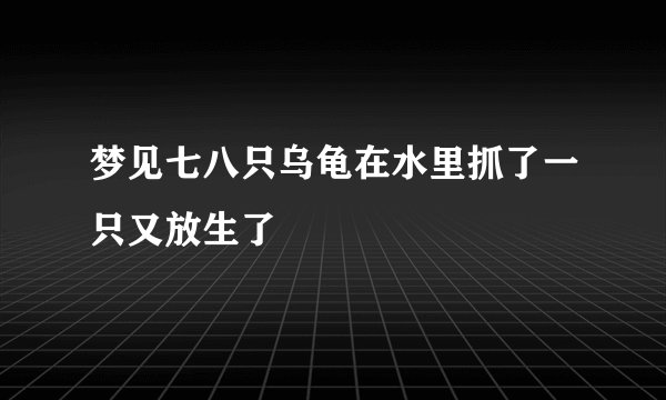 梦见七八只乌龟在水里抓了一只又放生了